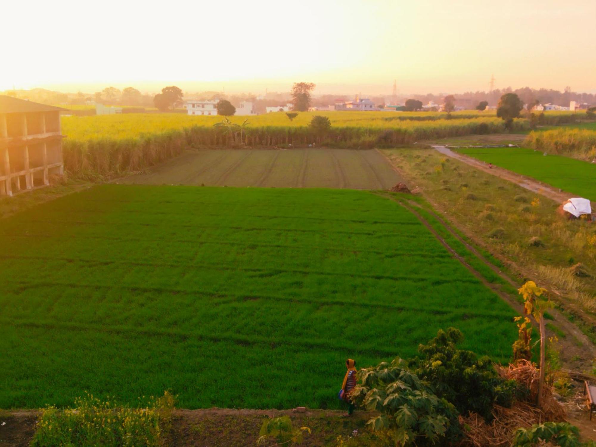 Airport Luxury Nature Homestay- Near Jolly Grant Airport Dehradun Doiwala Exterior photo